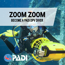 DPV Diver With ELearning And Processing Fee